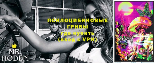 ALPHA PVP Переславль-Залесский