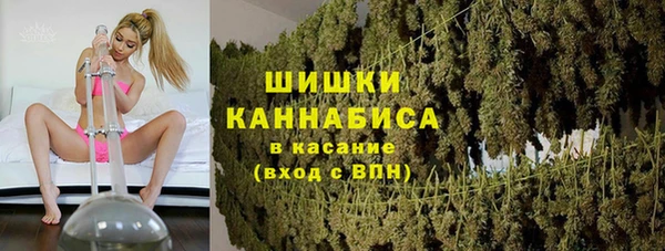 гашик Пестово