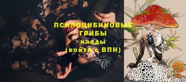 не бодяженный Беломорск
