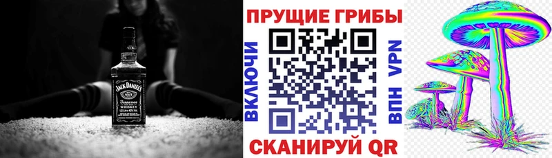 Купить закладки  Красково  Псилоцибиновые грибы Psilocybe 